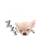 サダハルです。（個別スタンプ：4）