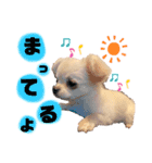 サダハルです。（個別スタンプ：5）