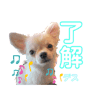 サダハルです。（個別スタンプ：6）