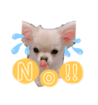 サダハルです。（個別スタンプ：8）