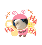 白インコのピーちゃん②（個別スタンプ：12）