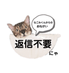 癒し＆和み（個別スタンプ：17）