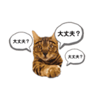 癒し＆和み（個別スタンプ：21）