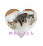 クロっぷ（個別スタンプ：1）