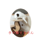 クロっぷ（個別スタンプ：4）