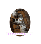 クロっぷ（個別スタンプ：5）