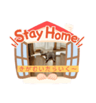 クロっぷ（個別スタンプ：7）