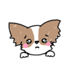ここあさんのスタンプ（個別スタンプ：1）