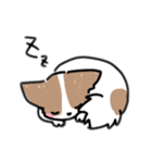 ここあさんのスタンプ（個別スタンプ：6）