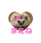 ハリネズミの『玄米』①（個別スタンプ：2）