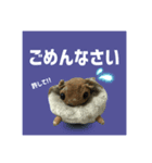 世界一可愛いモモンガ（個別スタンプ：2）