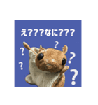 世界一可愛いモモンガ（個別スタンプ：3）