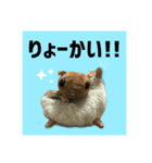 世界一可愛いモモンガ（個別スタンプ：4）