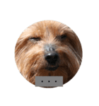 ケルルンルン（個別スタンプ：3）