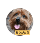 ケルルンルン（個別スタンプ：7）