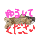 くーちゃん・くーちゃん（個別スタンプ：6）