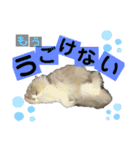 るあさん（個別スタンプ：4）