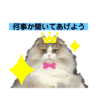 るあさん（個別スタンプ：5）