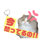 るあさん（個別スタンプ：6）
