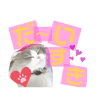 るあさん（個別スタンプ：8）