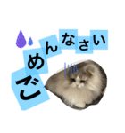 るあさん（個別スタンプ：10）