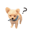 ぐりたろう＆てんすけ（個別スタンプ：1）