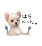 ぐりたろう＆てんすけ（個別スタンプ：4）