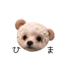ぐりたろう＆てんすけ（個別スタンプ：5）