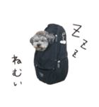 ぐりたろう＆てんすけ（個別スタンプ：8）