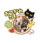 かわいこちゃん'sの日常（個別スタンプ：5）