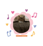 かわいこちゃん'sの日常（個別スタンプ：11）
