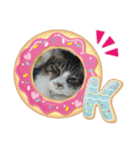 かわいこちゃん'sの日常（個別スタンプ：15）