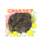 かわいこちゃん'sの日常（個別スタンプ：22）