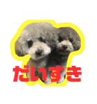 しゅーとちゃちゃ（個別スタンプ：2）