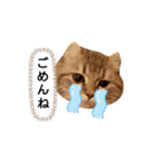 ぽっちゃんの日常スタンプ（個別スタンプ：5）