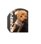 THIS IS れお（個別スタンプ：6）