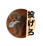 THIS IS れお（個別スタンプ：7）