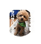 THIS IS れお（個別スタンプ：12）