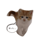 mieちゃん（個別スタンプ：4）