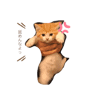 mieちゃん（個別スタンプ：5）