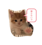 mieちゃん（個別スタンプ：6）