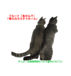 フルート＆チェロ【猫界の革命児】（個別スタンプ：8）
