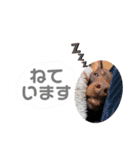 ぼくみにぴんまろん（個別スタンプ：23）