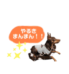 ぼくみにぴんまろん（個別スタンプ：25）