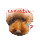ぼくはやまと。（個別スタンプ：2）
