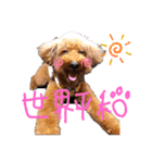 ぼくはやまと。（個別スタンプ：6）