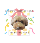 ぼくはやまと。（個別スタンプ：7）