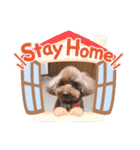 ぼくはやまと。（個別スタンプ：13）