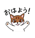 表情ゆたかなねこたち（個別スタンプ：1）