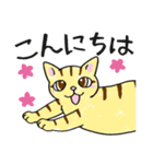 表情ゆたかなねこたち（個別スタンプ：2）